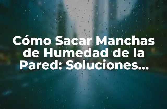 Cómo Sacar Manchas de Humedad de la Pared: Soluciones Efectivas