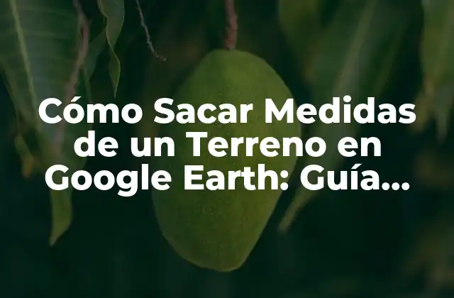 Cómo Sacar Medidas de un Terreno en Google Earth: Guía Detallada 2 Preparación para Sacar Medidas de un Terreno en Google Earth