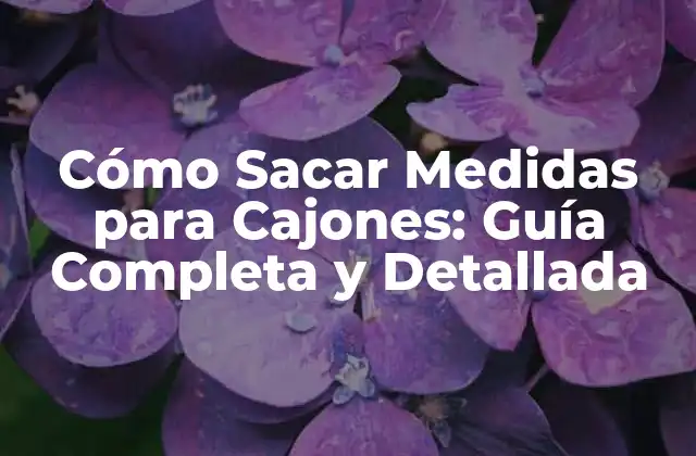 Cómo Sacar Medidas para Cajones: Guía Completa y Detallada