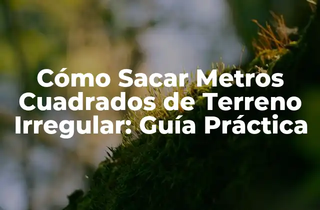 ¿Qué es un Terreno Irregular?