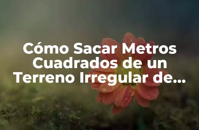 Cómo Sacar Metros Cuadrados de un Terreno Irregular de Forma Fácil y Precisa