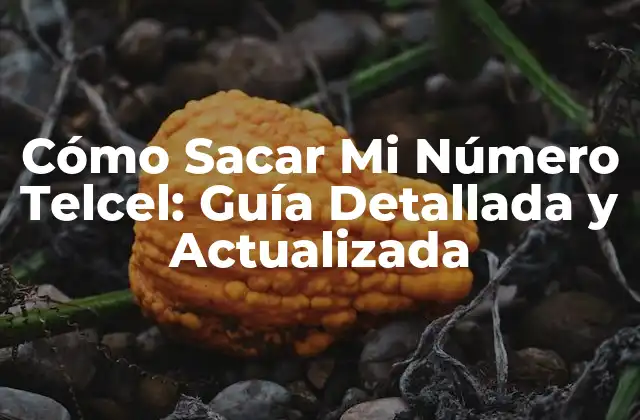 Cómo Sacar Mi Número Telcel: Guía Detallada y Actualizada