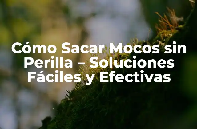 Cómo Sacar Mocos sin Perilla – Soluciones Fáciles y Efectivas