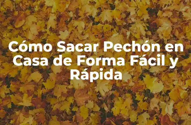 ¿Qué es el Pechón y por qué es Importante Cuidarlo?