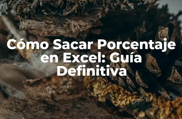 ¿Qué es un Porcentaje en Excel?