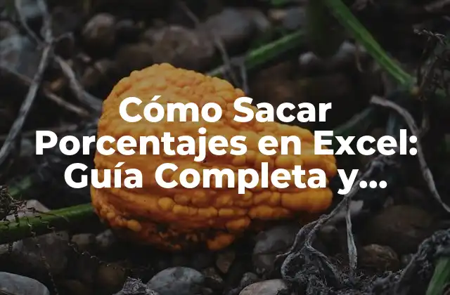 Cómo Sacar Porcentajes en Excel: Guía Completa y Detallada