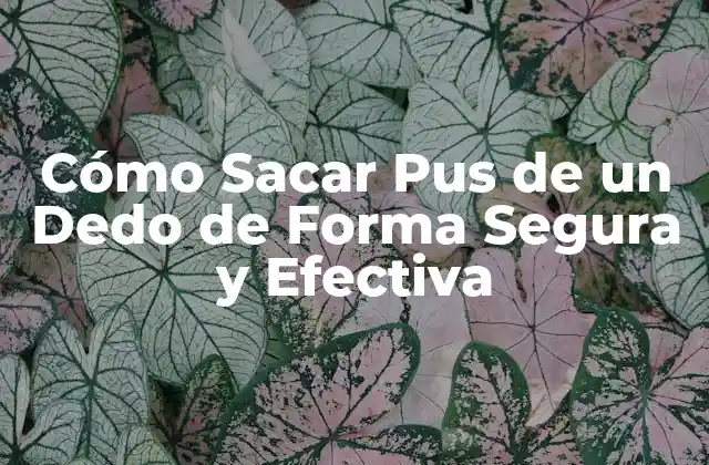 Cómo Sacar Pus de un Dedo de Forma Segura y Efectiva 2 Causas de la Acumulación de Pus en los Dedos