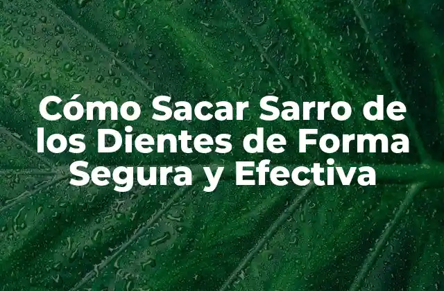 Cómo Sacar Sarro de los Dientes de Forma Segura y Efectiva