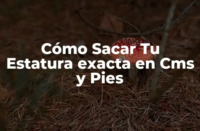 Cómo Sacar Tu Estatura Exacta en Cms y Pies 2 Métodos de Medición de Estatura