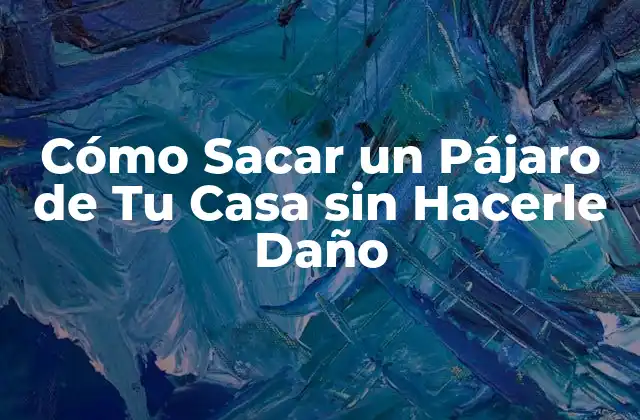 Cómo Sacar un Pájaro de Tu Casa sin Hacerle Daño