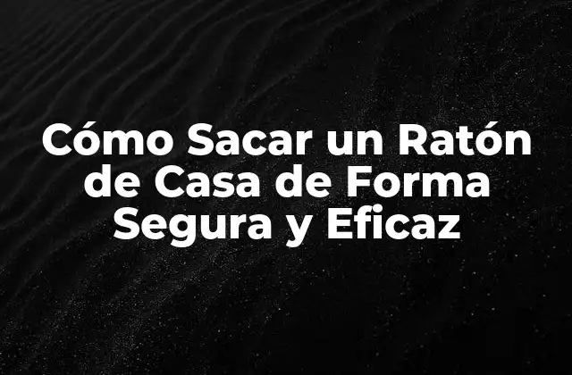 Cómo Sacar un Ratón de Casa de Forma Segura y Eficaz