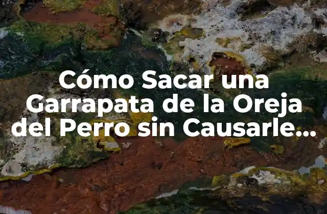 Cómo Sacar una Garrapata de la Oreja Del Perro sin Causarle Dolor