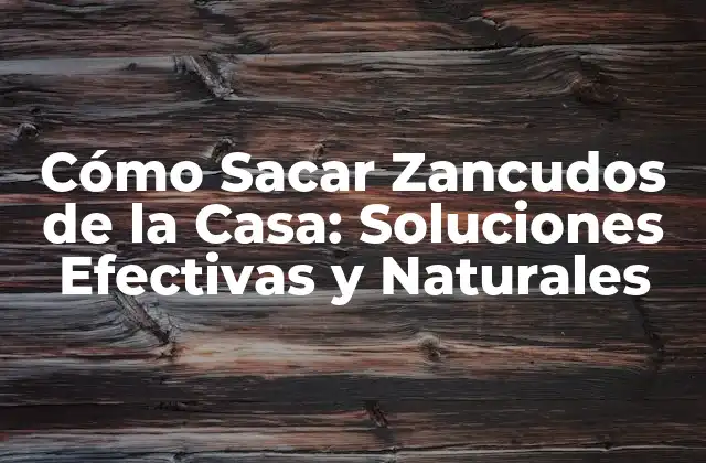 Cómo Sacar Zancudos de la Casa: Soluciones Efectivas y Naturales 2 Causas de la Infestación de Zancudos en Hogares