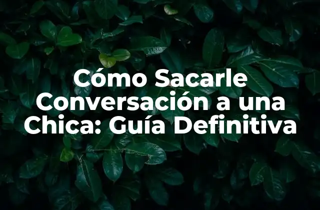 Cómo Sacarle Conversación a una Chica: Guía Definitiva