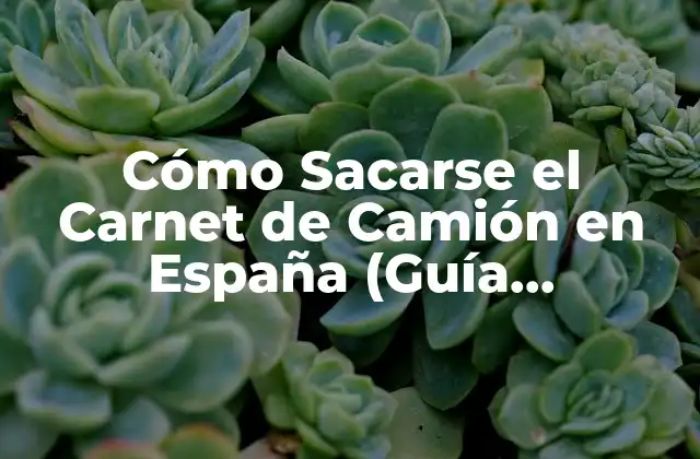 Cómo Sacarse el Carnet de Camión en España (guía Completa) 2 Requisitos Básicos para Sacar el Carnet de Camión