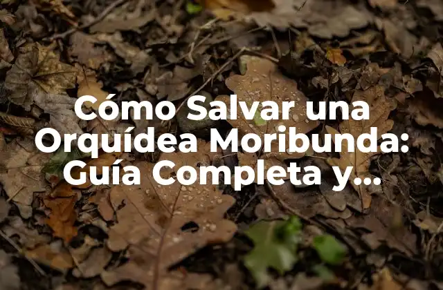 Cómo Salvar una Orquídea Moribunda: Guía Completa y Detallada