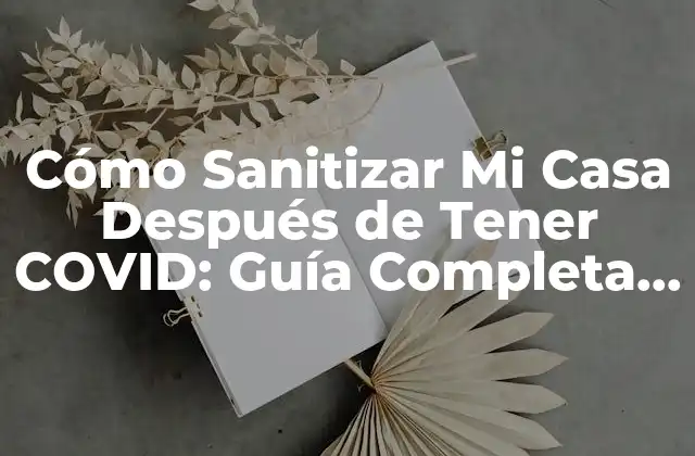 Cómo Sanitizar Mi Casa Después de Tener Covid: Guía Completa y Segura