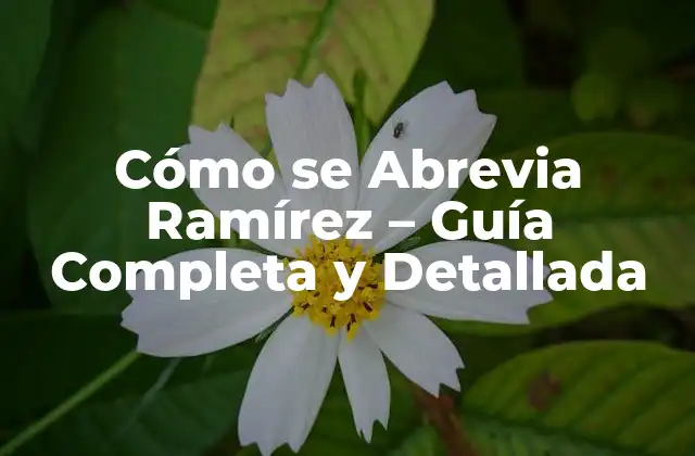 Cómo Se Abrevia Ramírez – Guía Completa y Detallada