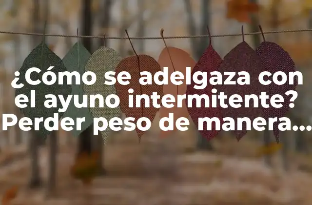 ¿cómo Se Adelgaza con el Ayuno Intermitente? Perder Peso de Manera Efectiva