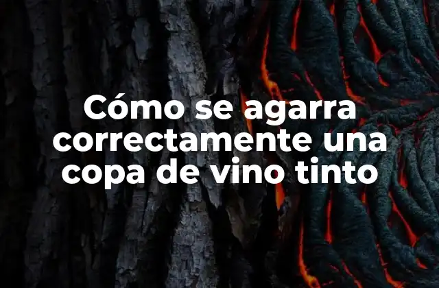 Cómo Se Agarra Correctamente una Copa de Vino Tinto