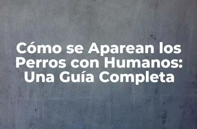 Cómo Se Aparean los Perros con Humanos: una Guía Completa 2 La Selección de la Pareja Ideal para el Apareamiento de Perros