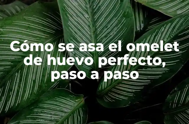 Cómo Se Asa el Omelet de Huevo Perfecto, Paso a Paso