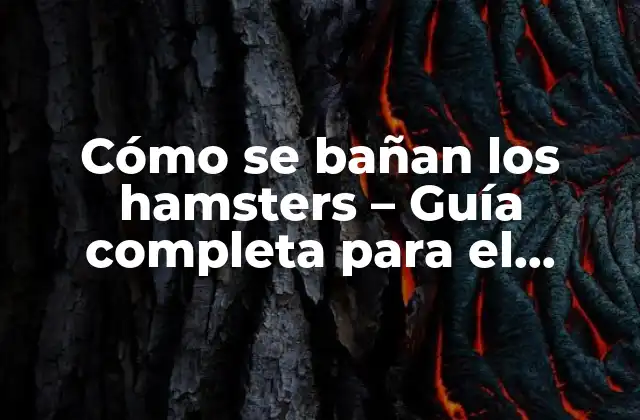 Cómo Se Bañan los Hamsters – Guía Completa para el Cuidado de Pequeños Roedores