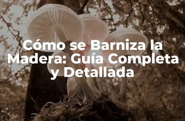 Cómo Se Barniza la Madera: Guía Completa y Detallada