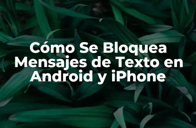 Cómo Se Bloquea Mensajes de Texto en Android y Iphone