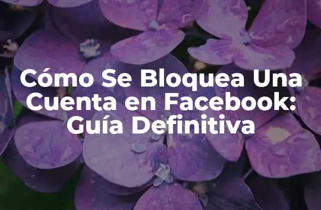 Razones para Bloquear una Cuenta en Facebook