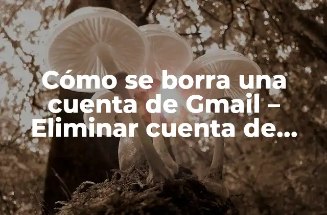 Cómo Se Borra una Cuenta de Gmail – Eliminar Cuenta de Google