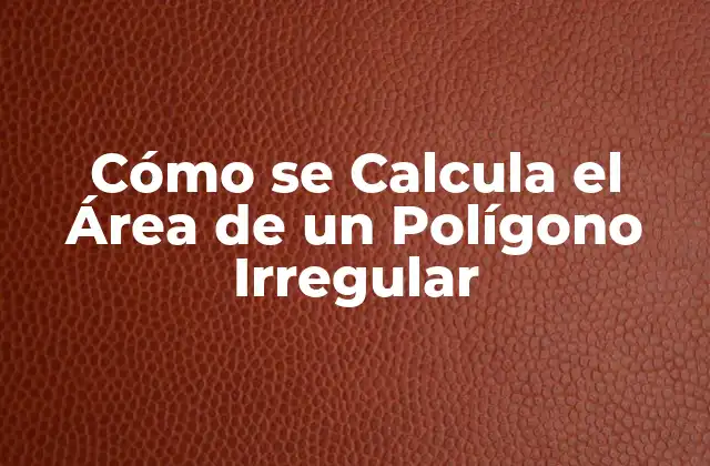 Cómo Se Calcula el Área de un Polígono Irregular
