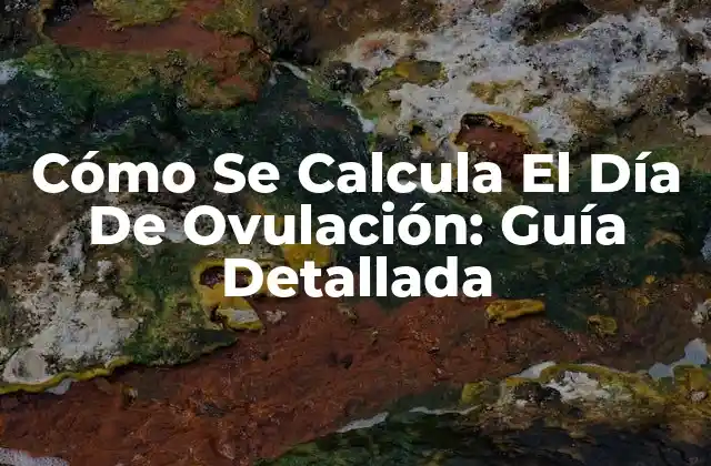 Cómo Se Calcula el Día de Ovulación: Guía Detallada