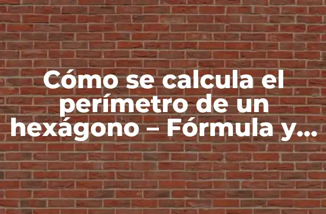 Cómo Se Calcula el Perímetro de un Hexágono – Fórmula y Ejemplos