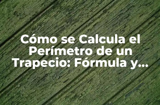 Cómo Se Calcula el Perímetro de un Trapecio: Fórmula y Ejemplos