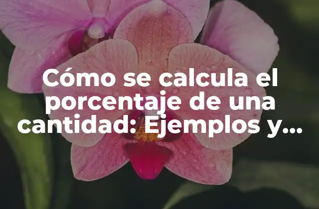 Cómo Se Calcula el Porcentaje de una Cantidad: Ejemplos y Fórmulas