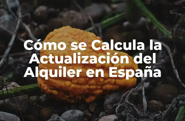 Cómo Se Calcula la Actualización Del Alquiler en España