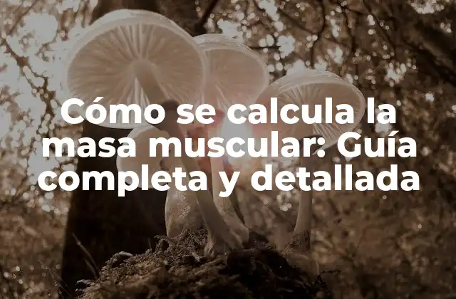 Cómo Se Calcula la Masa Muscular: Guía Completa y Detallada