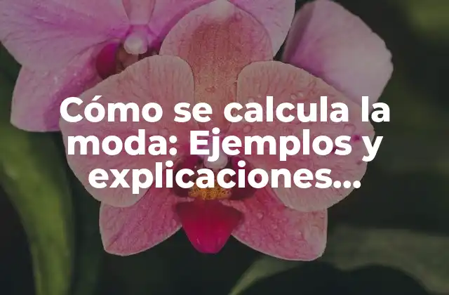 Cómo Se Calcula la Moda: Ejemplos y Explicaciones Completas