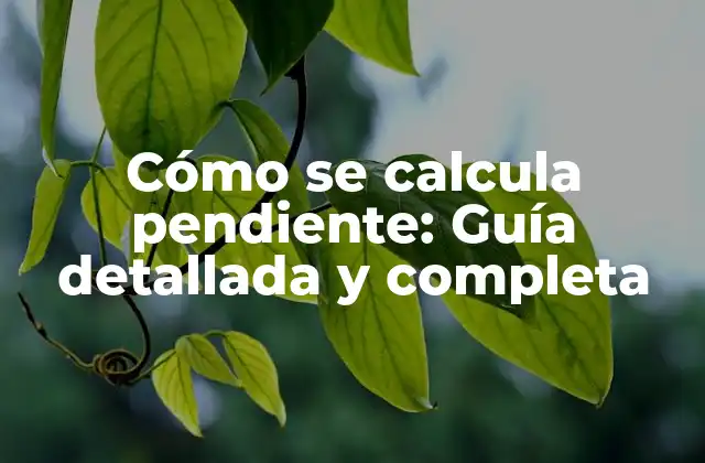 Cómo Se Calcula Pendiente: Guía Detallada y Completa