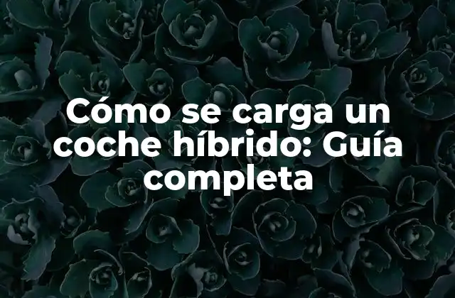 Cómo Se Carga un Coche Híbrido: Guía Completa