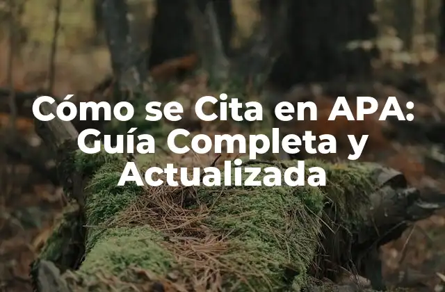 Cómo Se Cita en Apa: Guía Completa y Actualizada