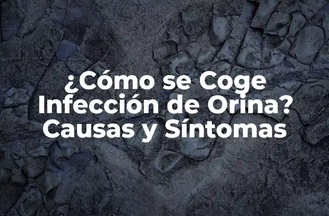 ¿cómo Se Coge Infección de Orina? Causas y Síntomas