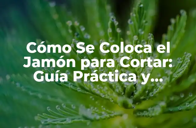 Cómo Se Coloca el Jamón para Cortar: Guía Práctica y Detallada 2 ¿Por qué es Importante Colocar el Jamón de Manera Adecuada?