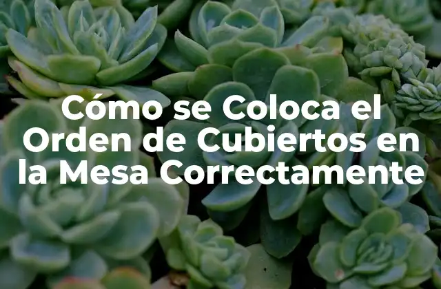 Cómo Se Coloca el Orden de Cubiertos en la Mesa Correctamente