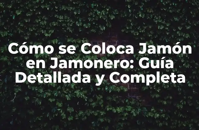 Cómo Se Coloca Jamón en Jamonero: Guía Detallada y Completa
