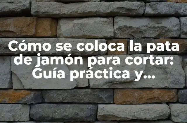 Cómo Se Coloca la Pata de Jamón para Cortar: Guía Práctica y Detallada