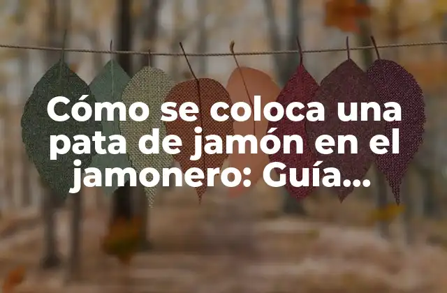 Cómo Se Coloca una Pata de Jamón en el Jamonero: Guía Práctica y Detallada