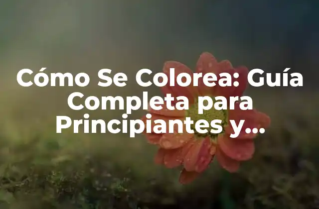 Cómo Se Colorea: Guía Completa para Principiantes y Expertos