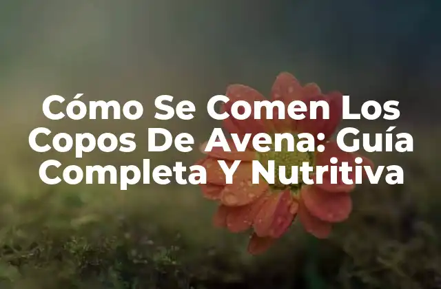 Cómo Se Comen los Copos de Avena: Guía Completa y Nutritiva 2 ¿Qué Son Los Copos De Avena?